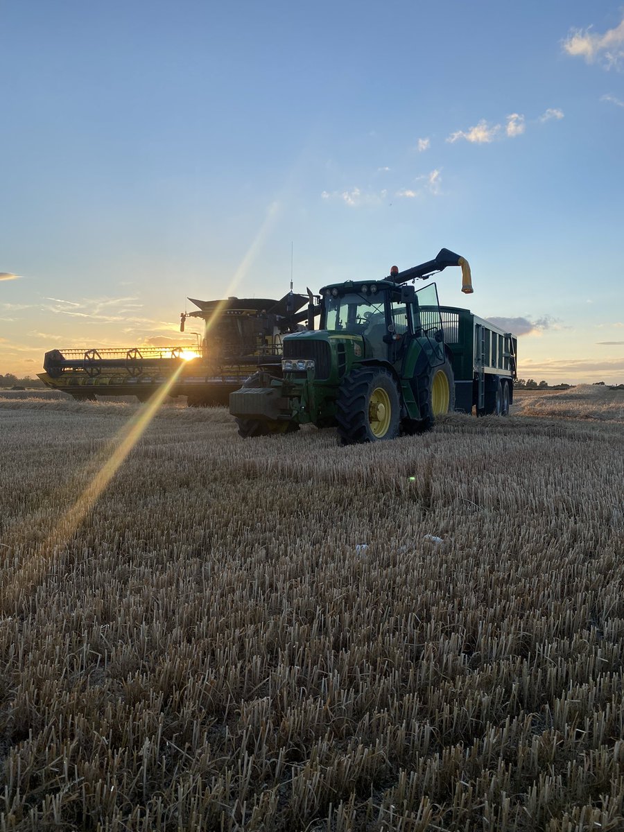 Big chunk of the wheat done and not yet harvested any OSR!