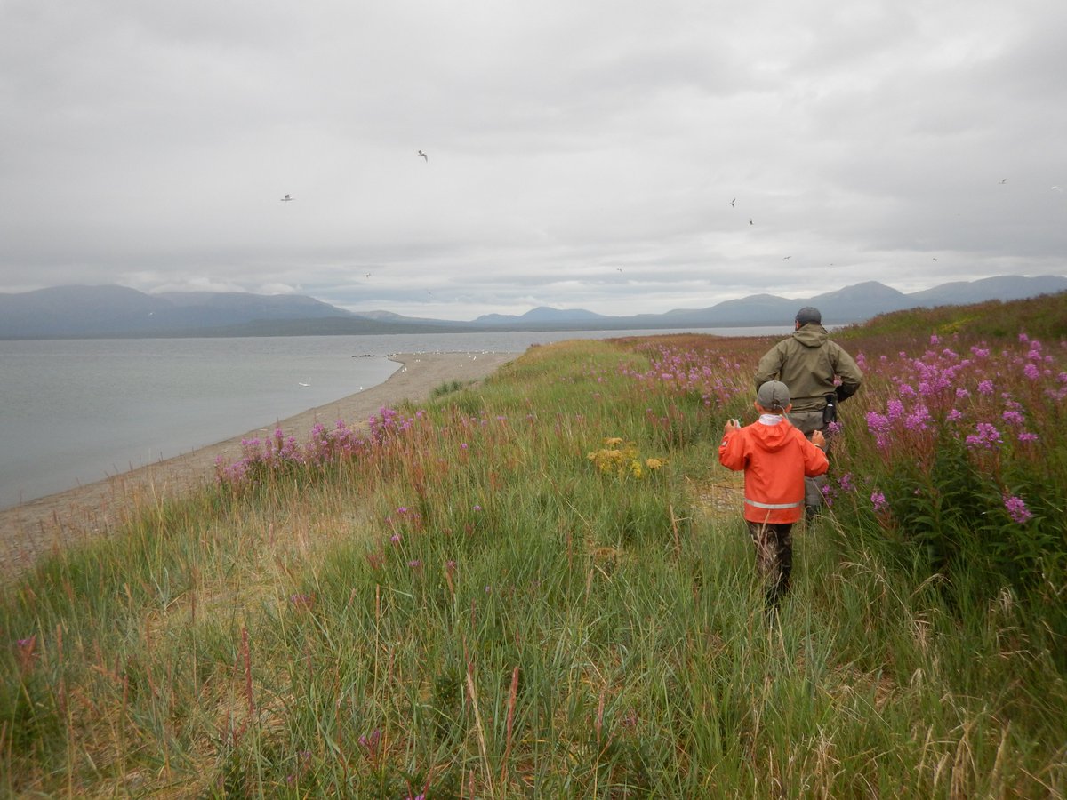 HauserDonna's tweet photo. Yes! Let's normalize conducting #fieldwork with kids! Let's create more supportive policies from our institutions too. 
In my case, I also benefited from a supportive (&amp; also researcher) husband who gets it (loves it) when we conduct fieldwork with kid in tow - not all have that. https://t.co/qtyhfAANVY
