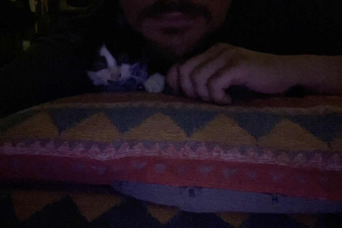 sirlolcat's tweet photo. And we somehow ended with you https://t.co/zvU3R4xN6W