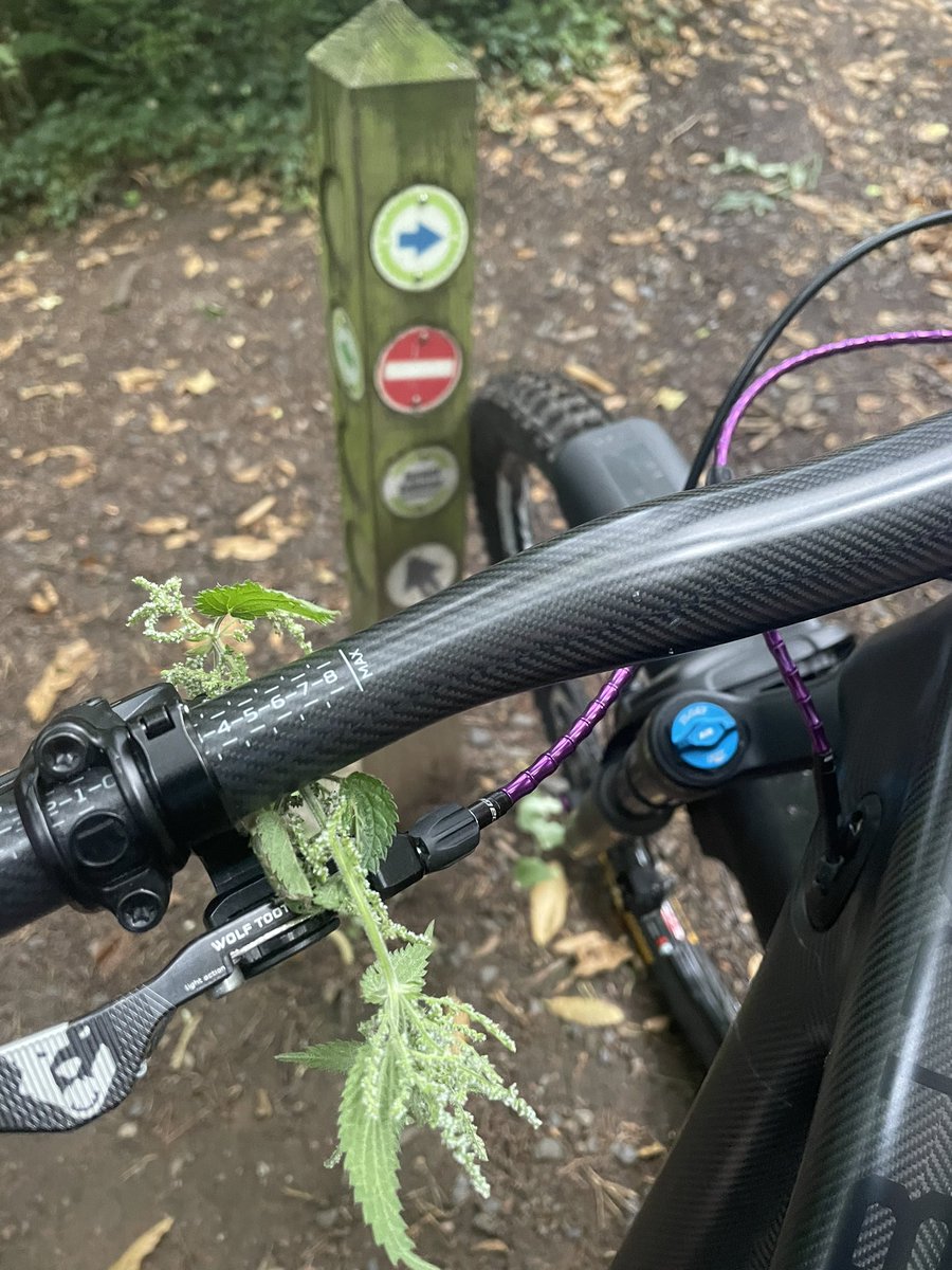 Graham_Sunderla's tweet photo. @belfastcc Maybe want to look at the MTB trails down at Barnetts? If you can’t maintain it, maybe have some signage that states, No Shorts. No Short Sleeves. Eye Protection must be worn. Failure to comply will result in harm. https://t.co/tKvndKvbQU