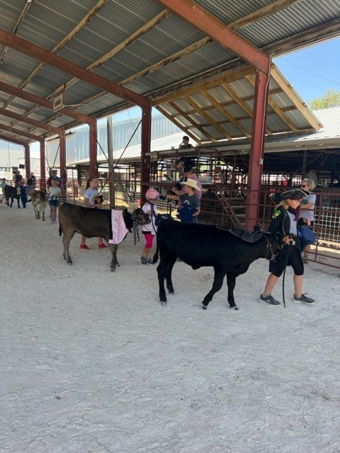 MicroLiteLLC's tweet photo. And finally, all the winners of the Critter Parade received a #MicroLite cooler.

Congratulations and good work to all our fair kids! We are so proud of you!

Thank you to the Wilson County Kansas Fair Association for an awesome fair this year! https://t.co/yiPWD5TQHn