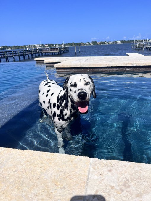 Florida Heat makes it not necessary to turn on the hot tub https://t.co/m048EDcKrX