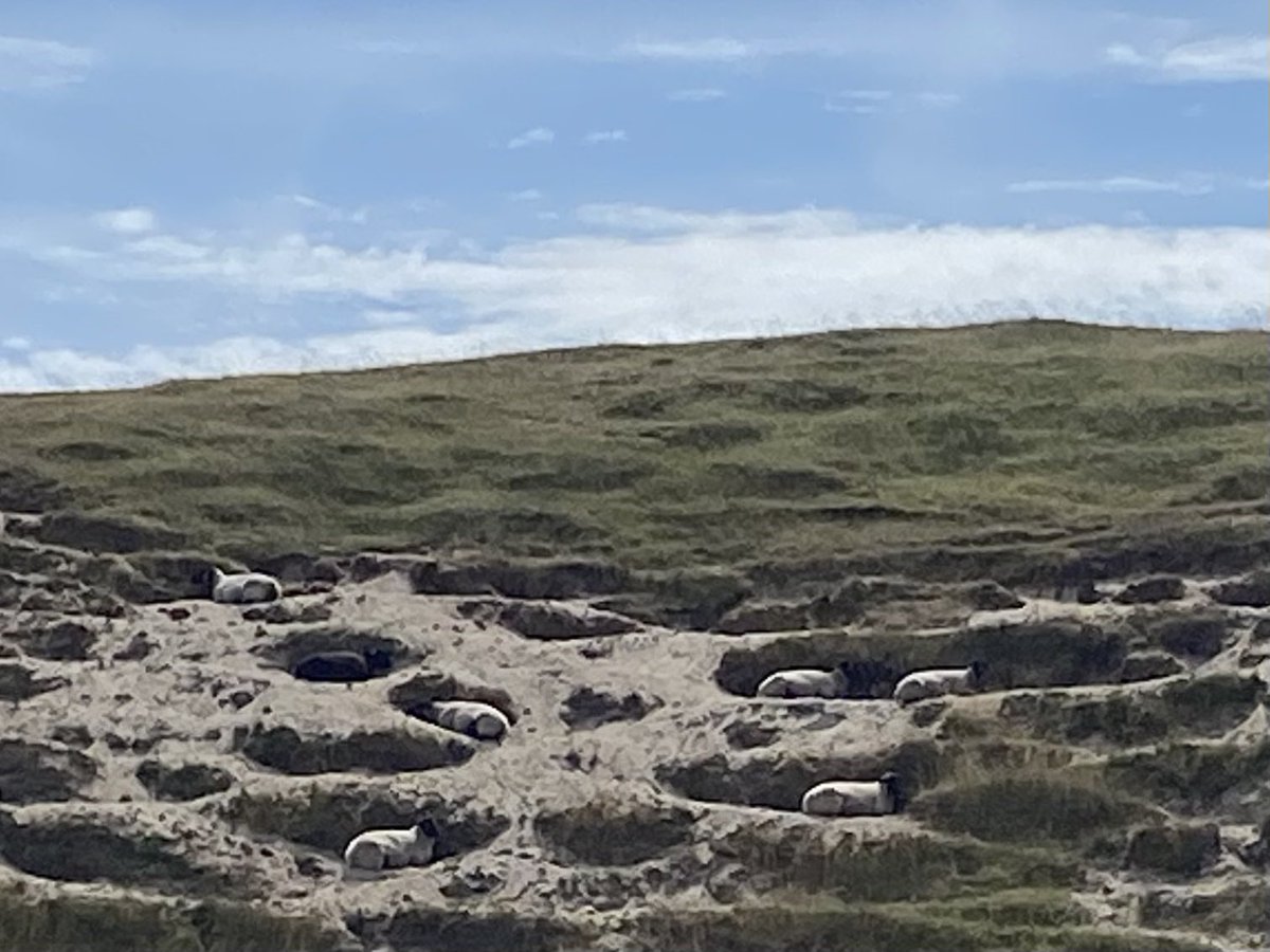In tough times of droughts, heat Waves and torrential rain, Nature often shows the Way to cope with severe changes. This Way Nature is an inspiration for Projects like <a href="/URBi_NAT/">URBiNAT 🍃</a>