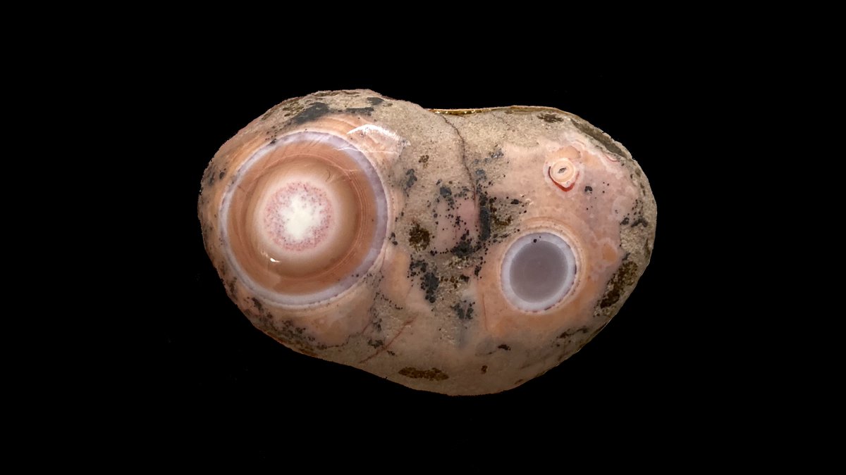 5th August 2022 — Angus