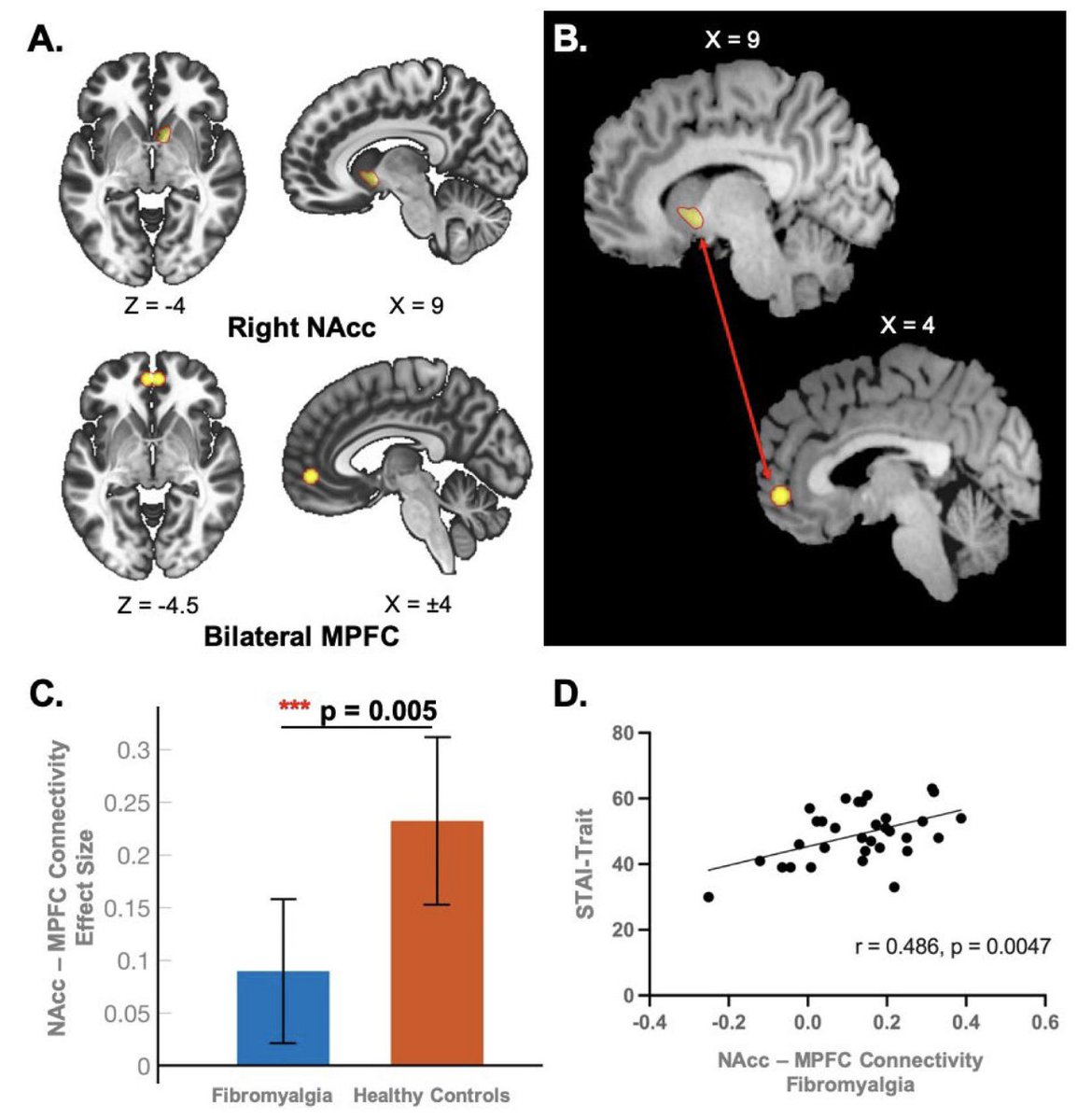 Katie Martucci PhD tweet media