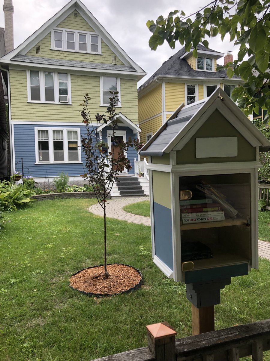 My neighbor’s new #LittleLibrary is a miniature of their house. 📚😍