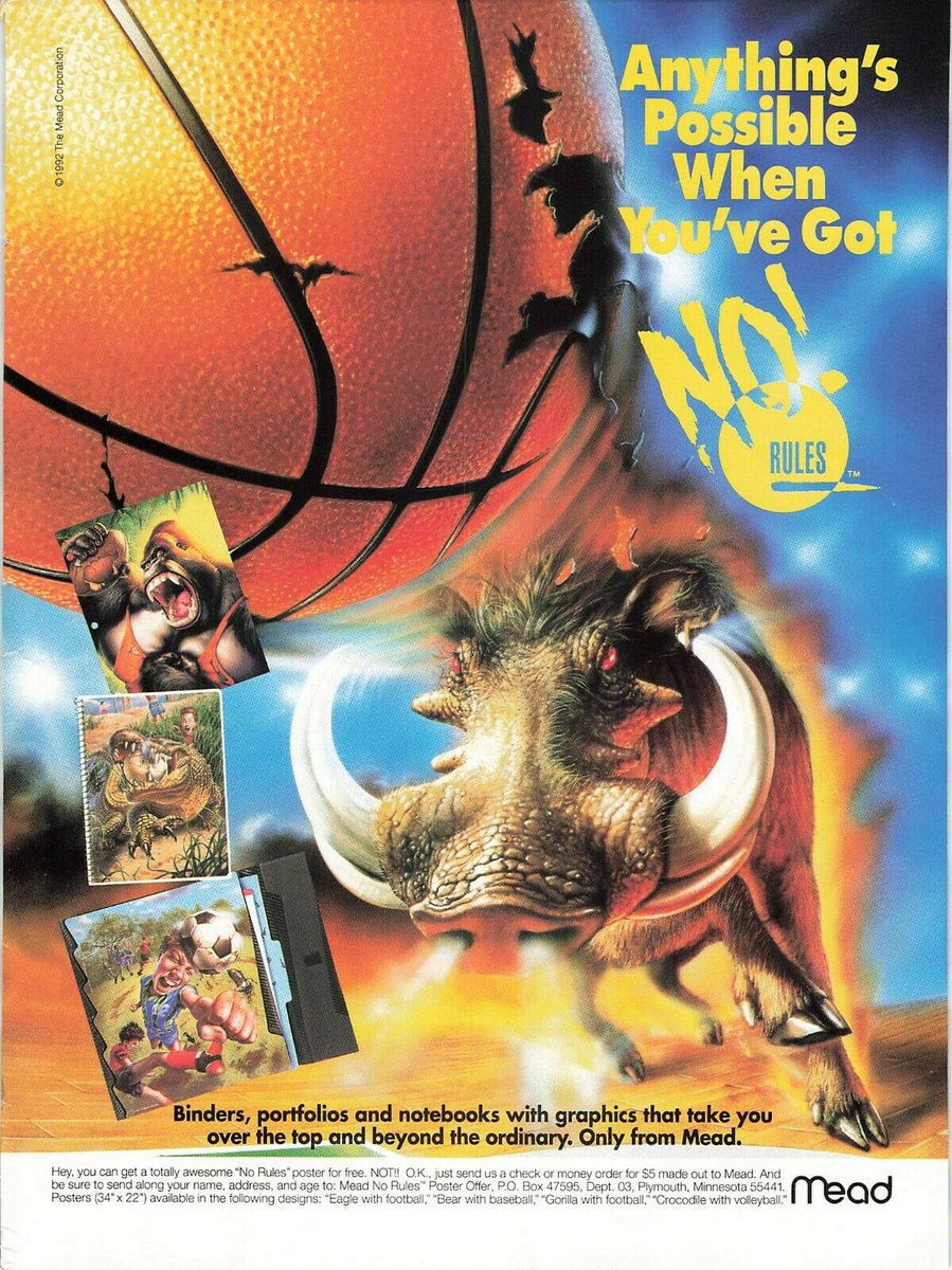 𝙜𝙤𝙗𝙤 🍄🌞 tweet media