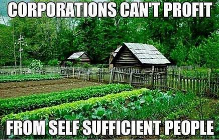 OrganicLiveFood tweet picture