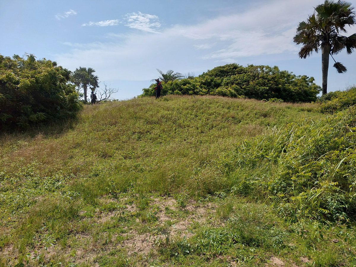 abibirogba tweet media