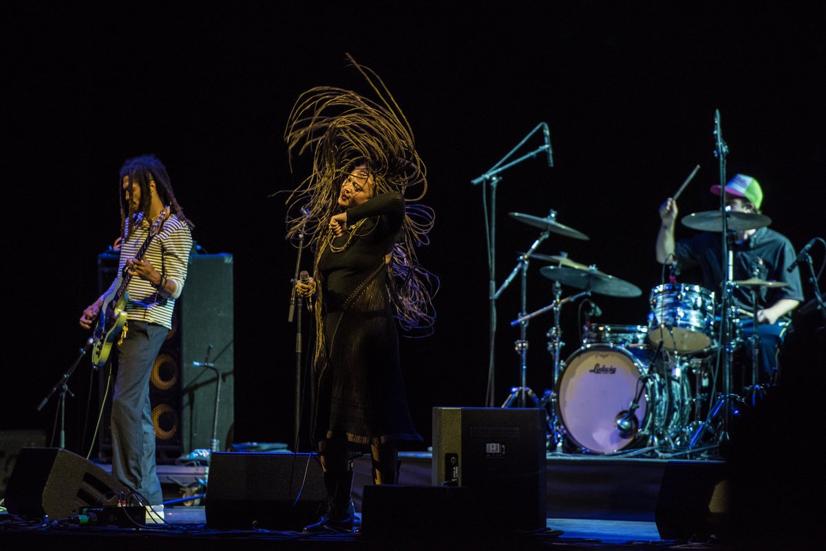 Higher Ground Festival tweet media