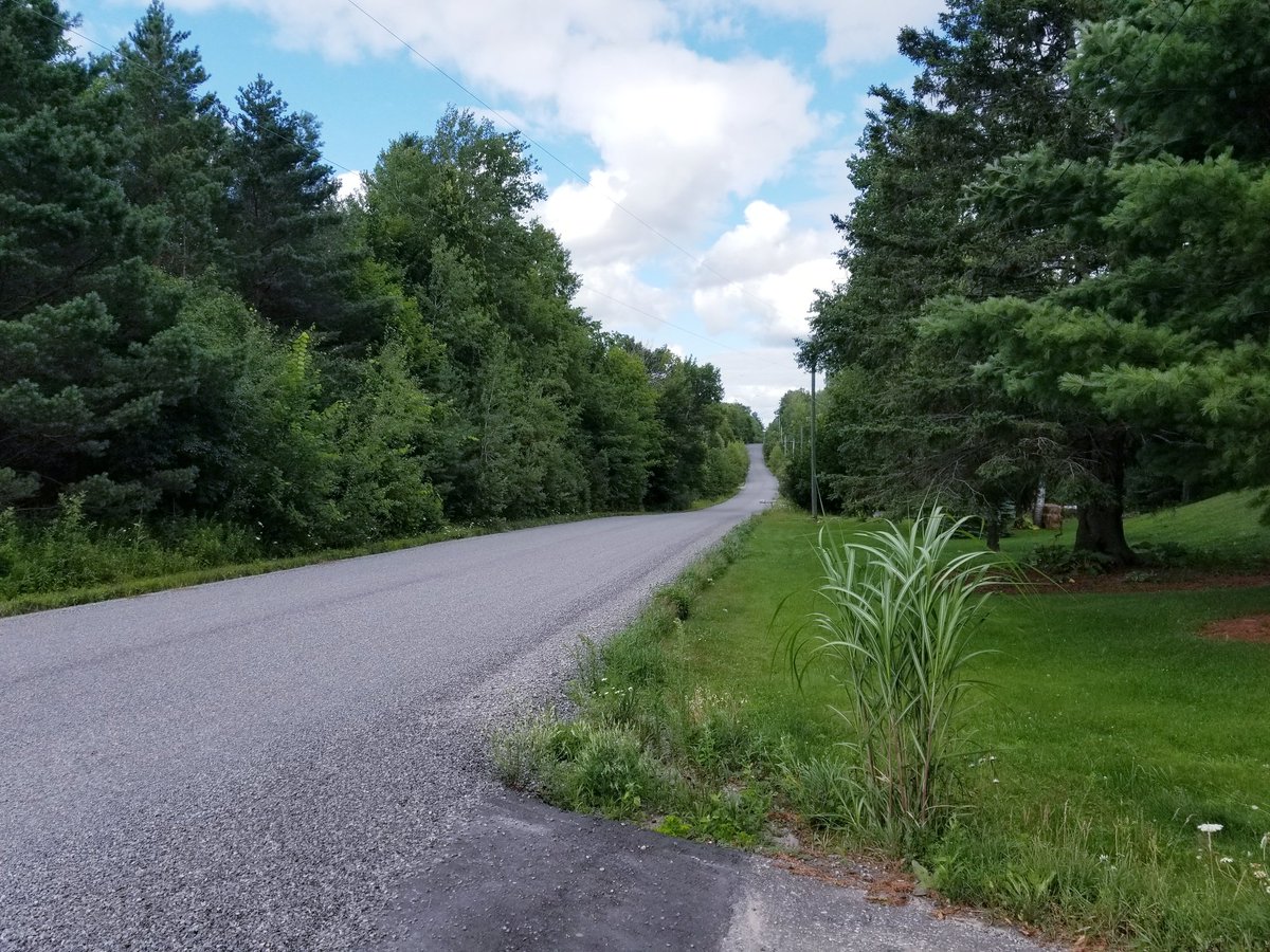 Hello Big Ring! Been a long time since I've needed the big gear. Yes... I was going downhill... #progressnevertheless divine day for a road ride!!