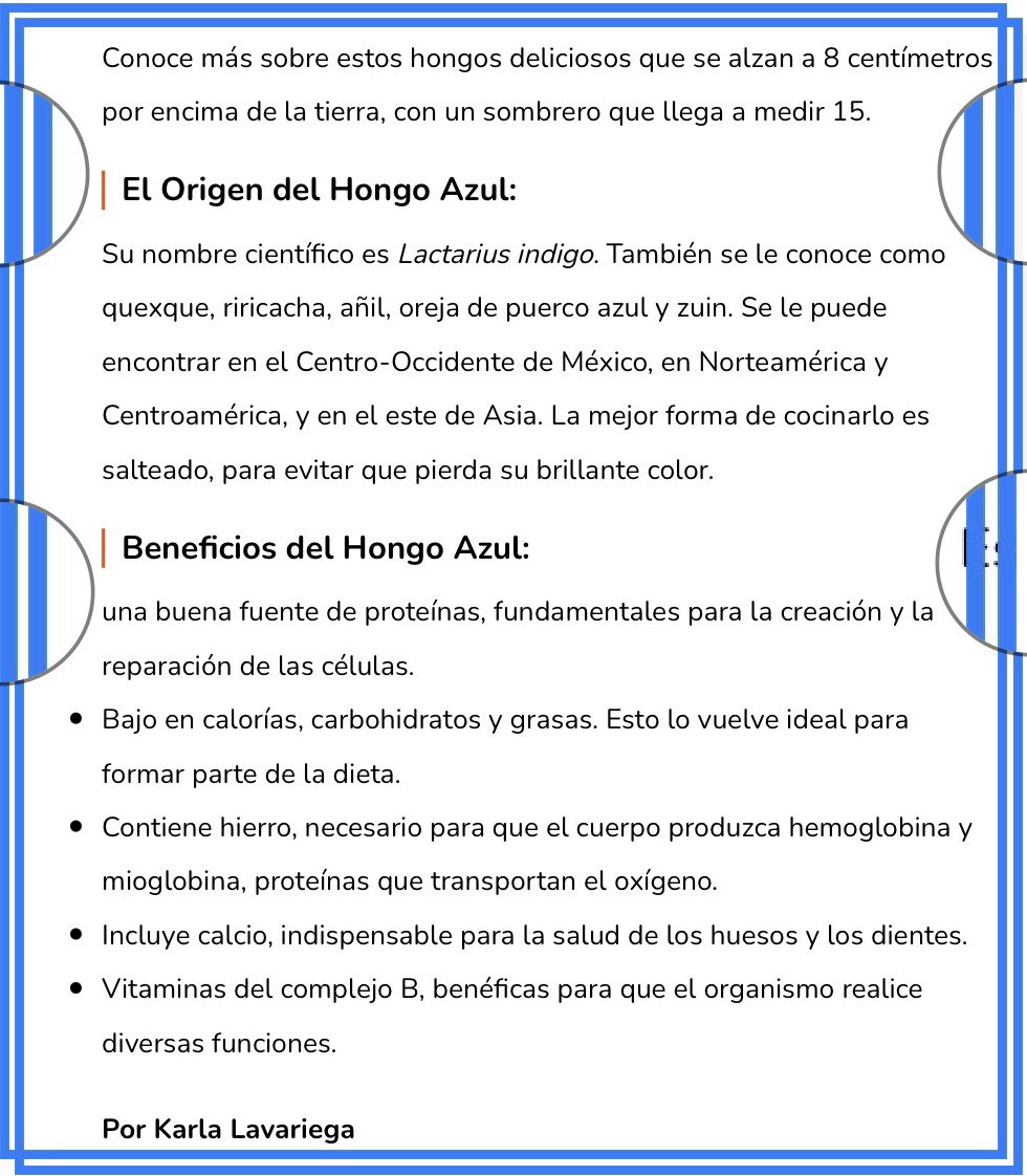 espiritutiflaut's tweet photo. @diaz_manuel #ReinoFungi (vegetal y animal) 🇲🇽 #HongoAzul ⁉️
Lactarius índigo ,epazote 😛 aceite de olivo 😛 🍽🧂🍷😄 https://t.co/sOYoU8g0hj