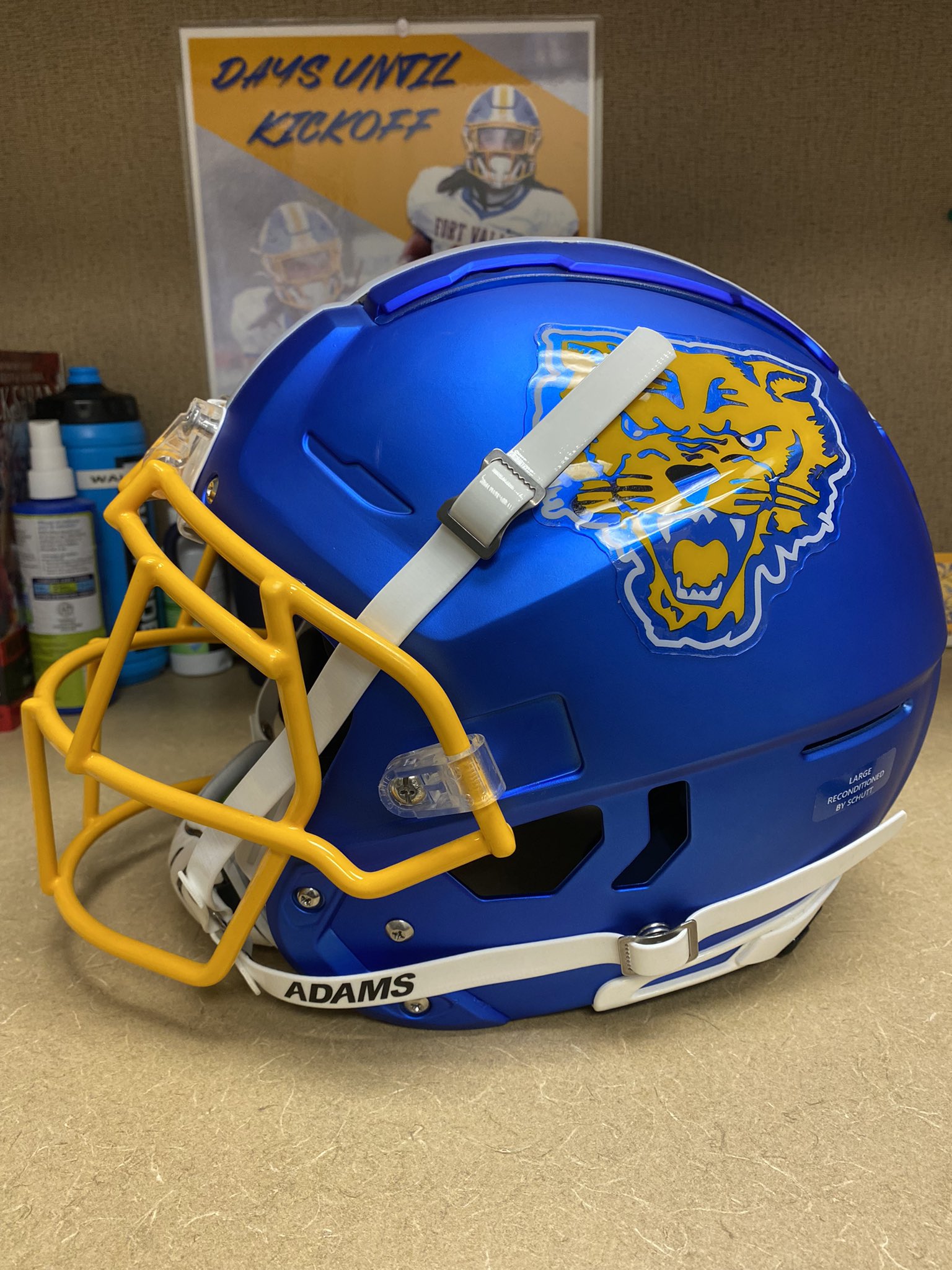Fvsu D2l