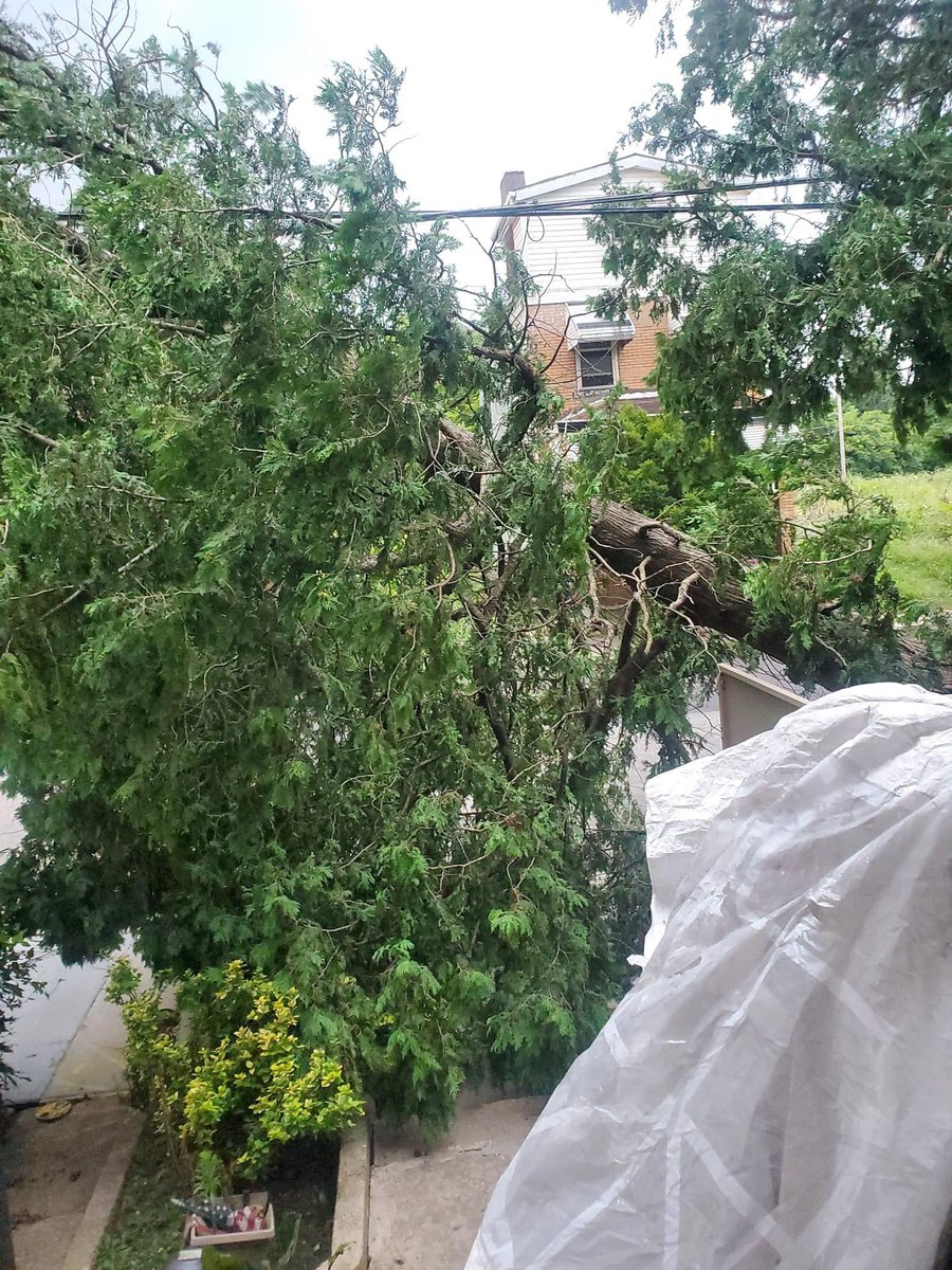 InMahdITrust's tweet image. Day 3 still no Duquesne Light Co. house still blocked off. Live power line hangin at my door @DuquesneLight