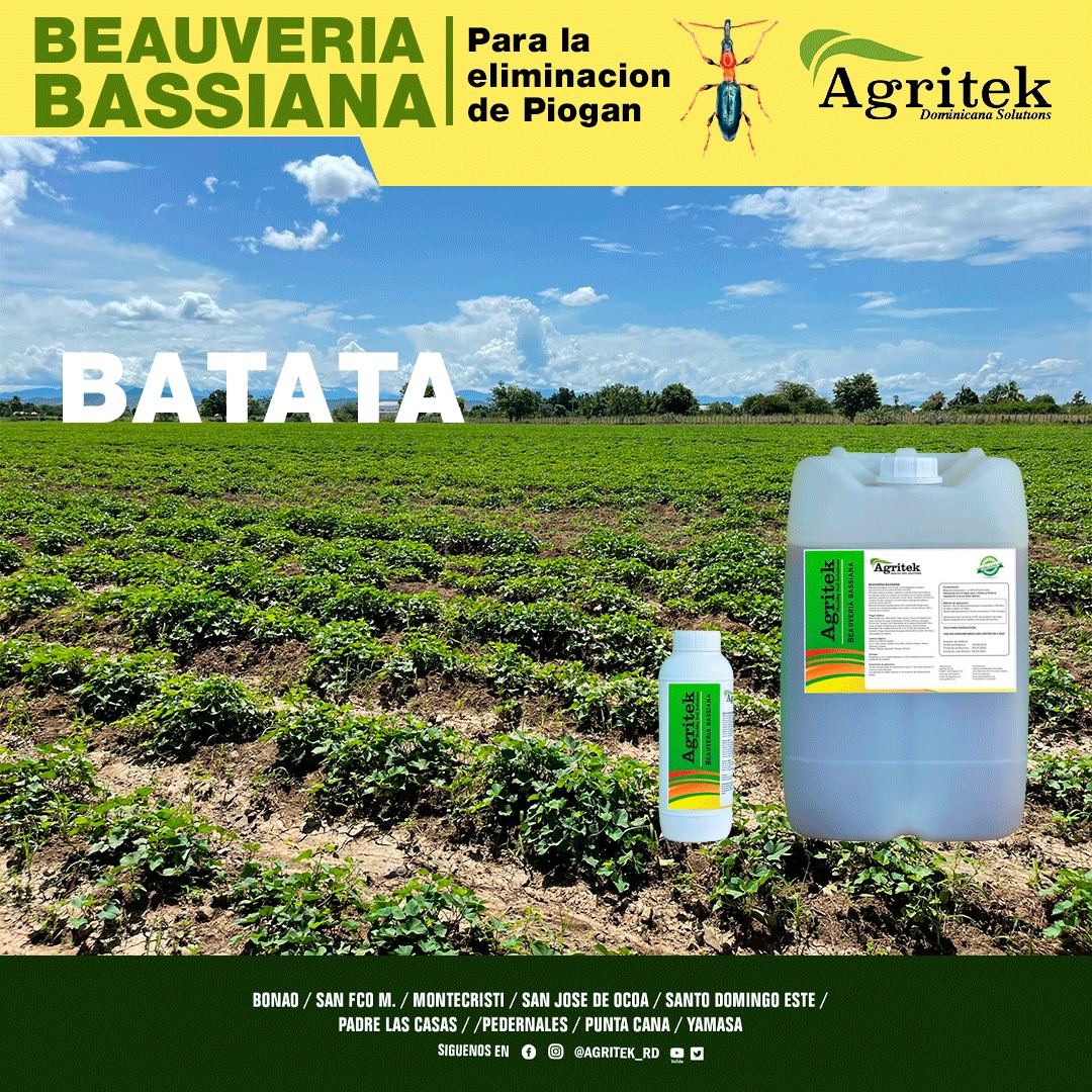 Agritekrd's tweet photo. Somos tu mejor opción 👌 nuestros clientes nos eligen cómo la solución organica a todos sus problemas.
-
¡Somos Agritek Internacional ! 💪
-
#agritek #agricultura #agriculturaorganica  #republicadominicana #ecologico #biologico https://t.co/2MofszklcJ