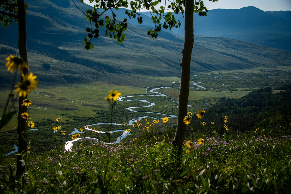 Take a break from daily life here in the wild - just keep it wild! 
🌿🌻⛰
Find out more about taking care of the land + resources while you vacation at the link below!
✌️
gunnisoncrestedbutte.com/stewardship/