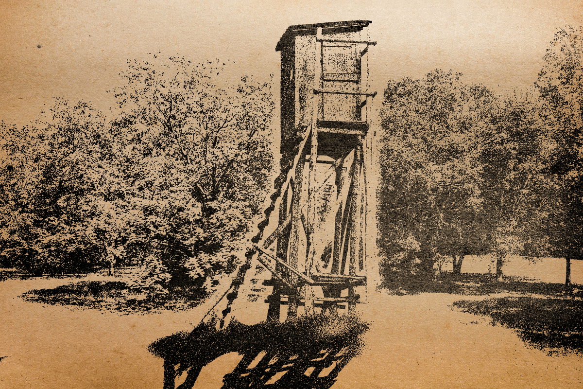 StudioNeverlost's tweet photo. Our Crew finds themselves marching through the woods to find the temple where Danric has taken Lockheart's keys. Along the way, several fish-people have attacked them. 

Learn if the crew will survive this ambush,
Tuesday, July 26th at 10pm,
https://t.co/vTEBtvcBqN https://t.co/5NL3sf8uhM