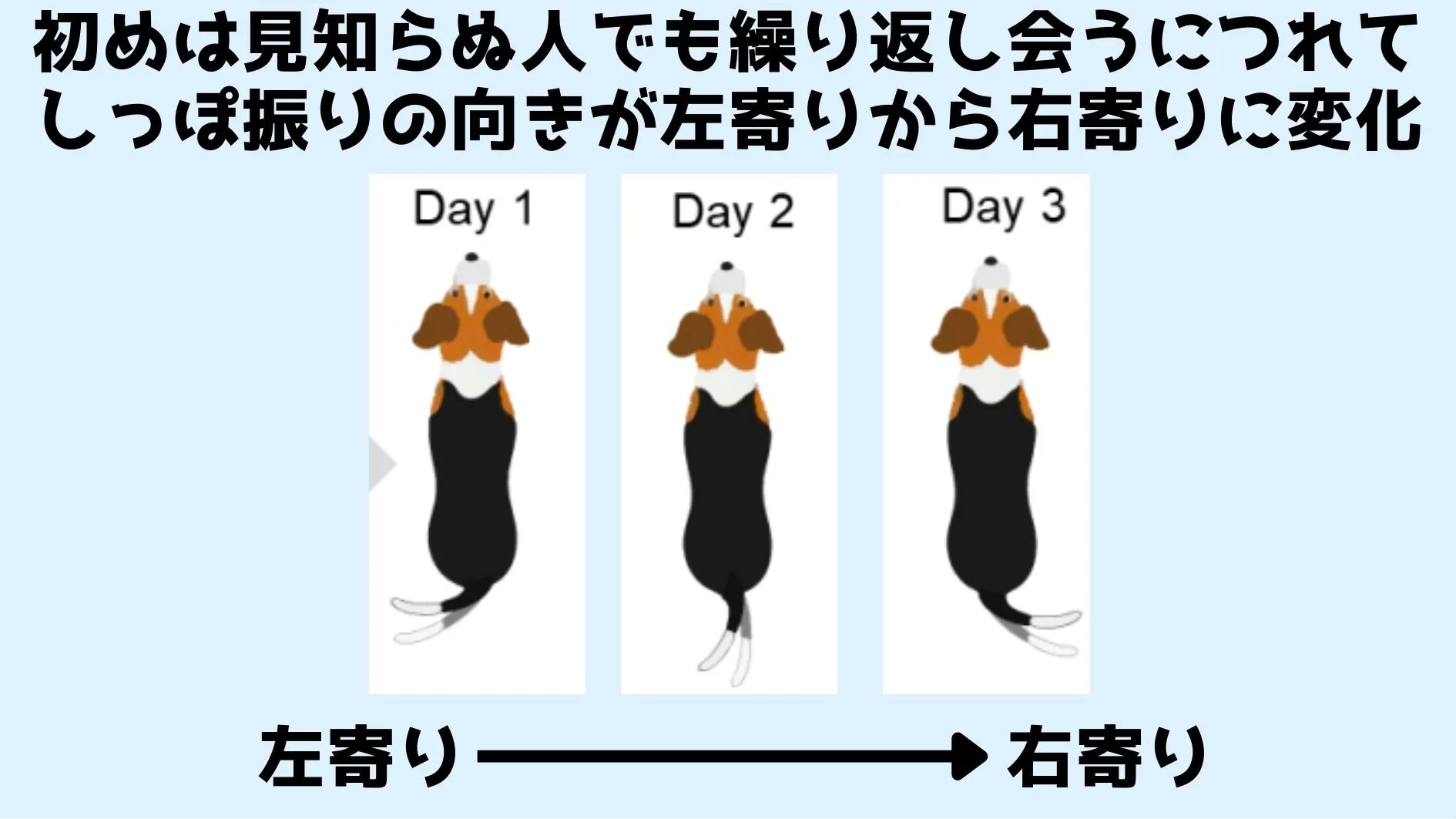 ナゾロジー 科学ニュースメディア しっぽの気持ち 犬は好意的な相手だと 右寄りにしっぽを振る T Co Aowi7rnqxq 中国科学院はaiを使った検証で犬がなついた相手を前にしたときしっぽを右寄りに振ることを確認 これは動物全般に見られる右脳と