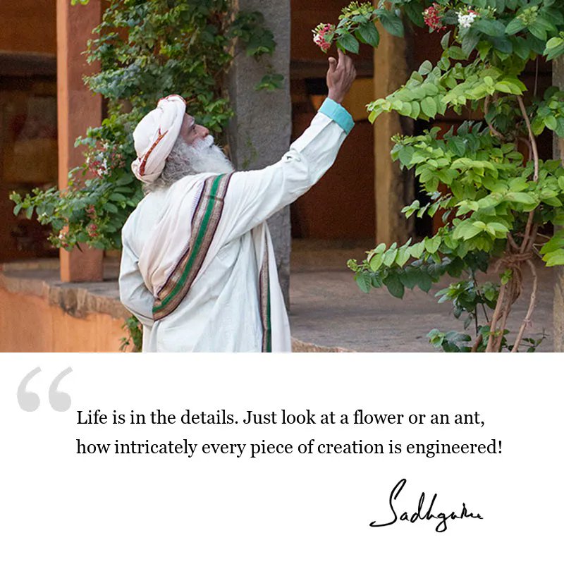 Life is in the details. Just look at a flower or an ant, how intricately every piece of creation is engineered!
.
.
.
.
.
.
.
#SadhguruQuotes #Mystic #Guru #Sadhguru #Life #Qotd