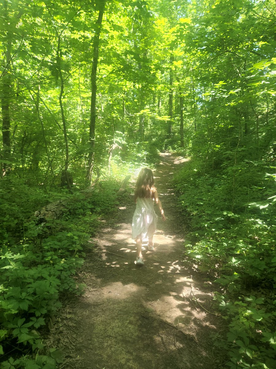 alienbrain_eth's tweet image. Choose the path less traveled on 🌲🌳🌲🌳🌲🌳