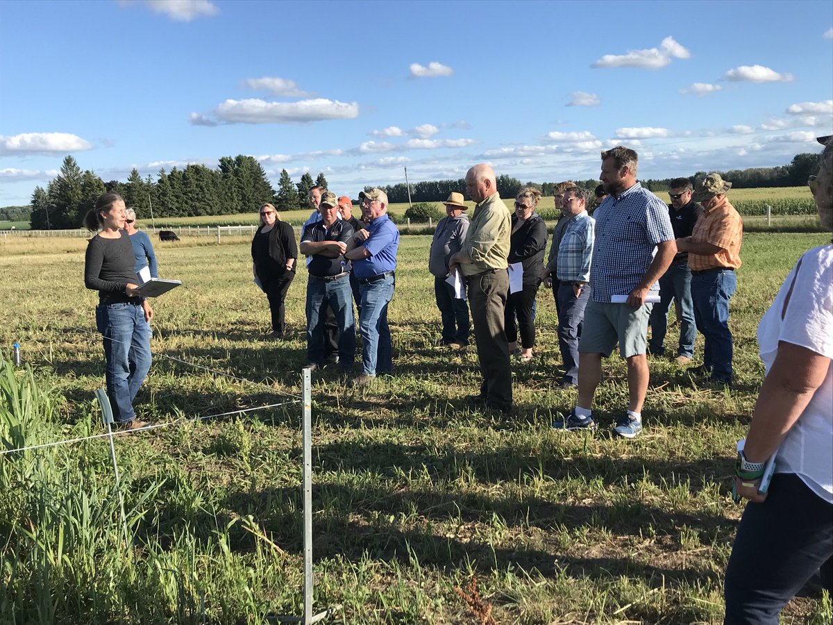 Great evening for Annual Warm Season grass grazing tour at Elora Research Station.  ⁦<a href="/speareseeds/">Speare Seeds</a>⁩ ⁦<a href="/uofg/">University of Guelph</a>⁩ ⁦<a href="/BeefFarmersON/">Beef Farmers of Ontario</a>⁩