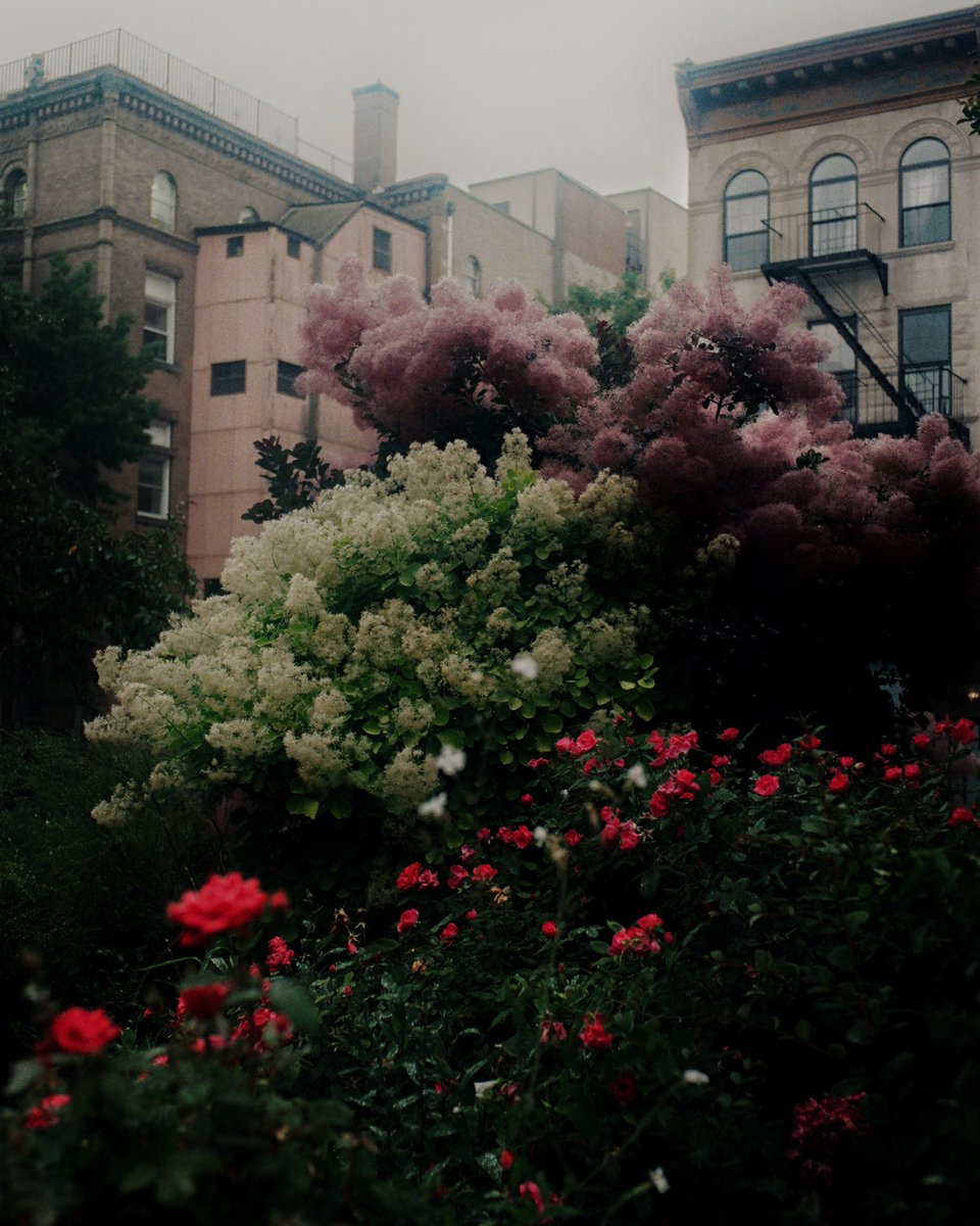 mickeyjspear's tweet image. 