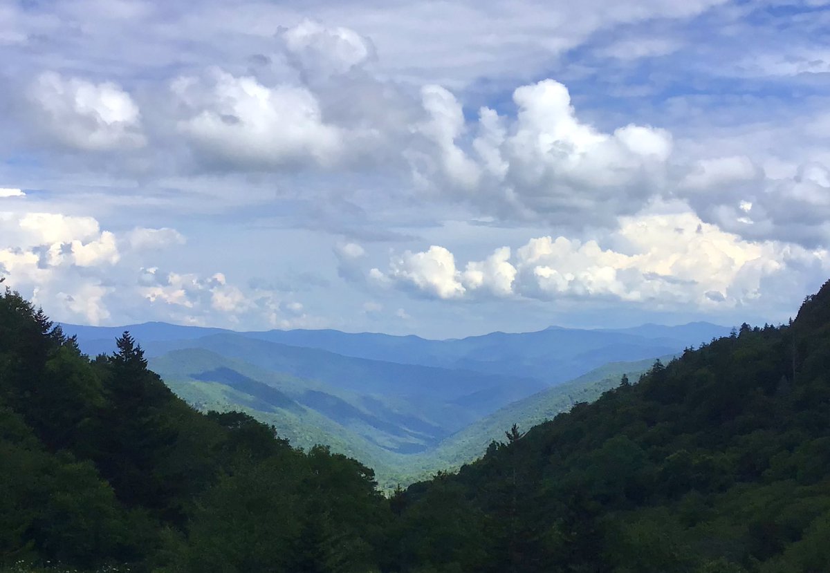 WildFlower_0121's tweet photo. #NewfoundGap #greatsmokymountains #nature #NaturePhotography https://t.co/2tTFEou4pK
