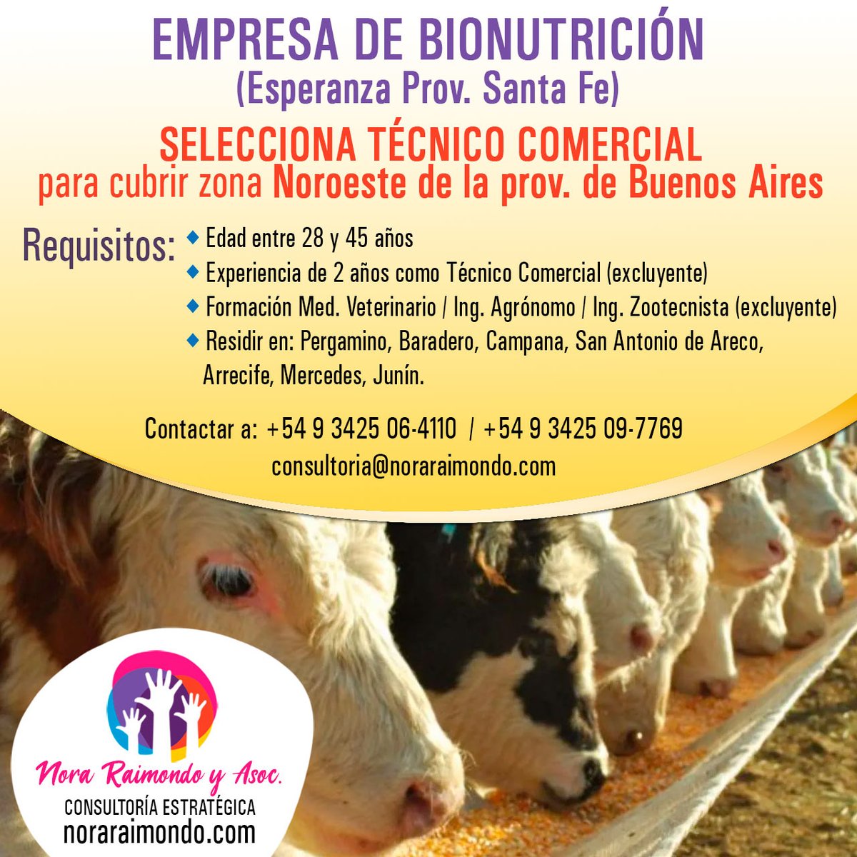 AsocNora's tweet photo. EMPRESA DE BIONUTRICIÓN de Esperanza, Provincia de Santa Fe Selecciona Técnico Comercial para zona Noroeste prov. Bs As.

✅ Será su misión principal la apertura y desarrollo de nuevos clientes y/o distribuidores 
Envianos tu CV a consultoria@noraraimondo.com 

+54 9 3425 09-7769 https://t.co/Hs261I7pdo