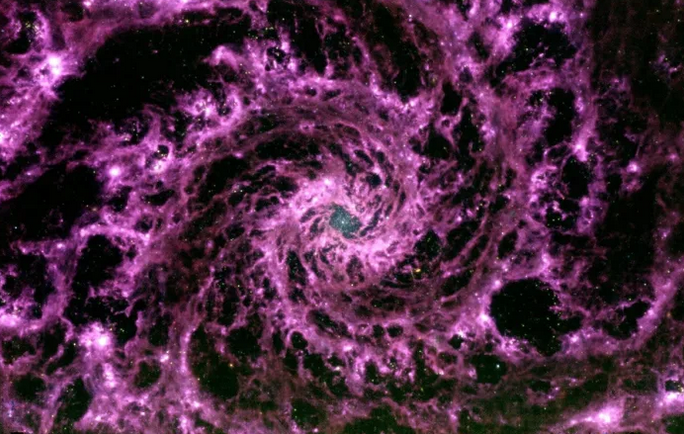 🏵𝗨𝗡𝗥𝗔𝗩𝗘𝗟𝗜𝗡𝗚 𝗕𝗢𝗡𝗘𝗦𝗧𝗘𝗟𝗟'𝗦 𝗪𝗘𝗕𝗕. Chesley would no doubt be amazed by the #JamesWebbSpaceTelescope images but perhaps of special interest to him might be Webb's discoveries of water in the atmosphere of exoplanets! Learn more here: facebook.com/bonestellmovie…