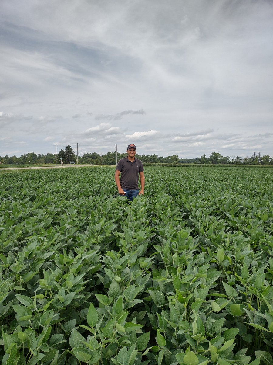 StepUpSoy's tweet photo. Spent the afternoon scouting soybean fields with @Davidzelaya412 a visiting scholar from Honduras. #NCSRP funded research @Ohiosoycouncil https://t.co/F2nofVNNdj