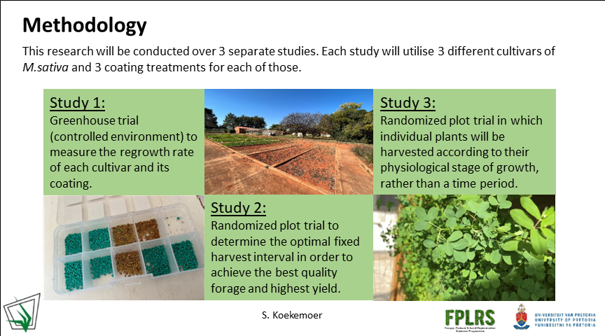 GrasslandSocSA's tweet photo. Improving M.sativa yields, quality and regrowth rate using seed coating technology. #GSSACongress57 #medicagosativa #seedcoating #seedtechnology #lucerne #FPLRS #cropimprovement #agriculturaltechnology #sustainablefarming https://t.co/USKcolTwDb