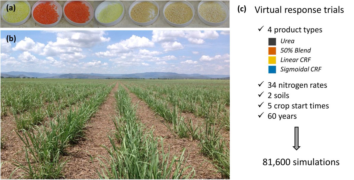 KirstenVerburg's tweet image. Why are the benefits of enhanced-efficiency fertilisers inconsistent in the field? Pleased to share this paper on our #apsim simulation analysis identifying prerequisite conditions. Published with @SpringerNature in @ASD_INRAE. Read more here:  rdcu.be/cR0ZO