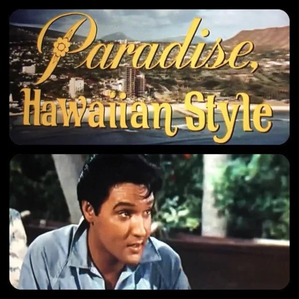 DeenasDays's tweet photo. 🎥 #ElvisMovies 🎥 #CountdownToElvisWeek
#ParadiseHawaiianStyle
#Elvis 🐅 #TCB⚡️
https://t.co/HE9s6YORm0 https://t.co/LHWY6oQofQ