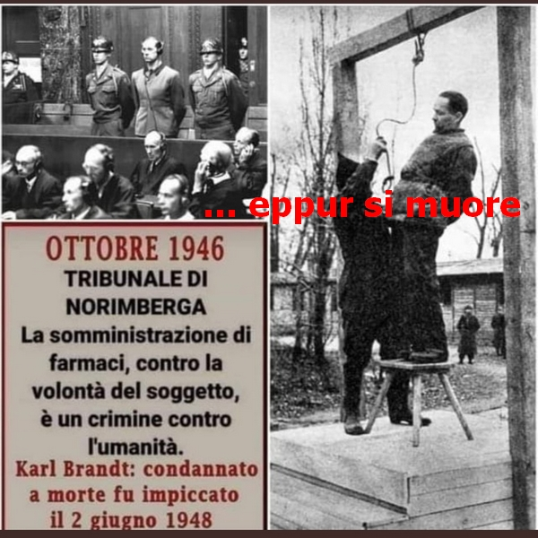 MarioItaliano18's tweet photo. @michaelnagar007 https://t.co/EbivSOjqFs