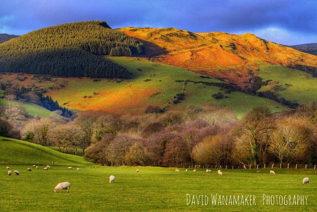 Peaceful North Wales #wales #walesphotography #welshcountryside #walkingbritain #britishcountryside🇬🇧 #eveninglight #photosofbritain #photouk #instascenery #traveladdict #rollinghills instagr.am/p/CgdDu7ovXYF/