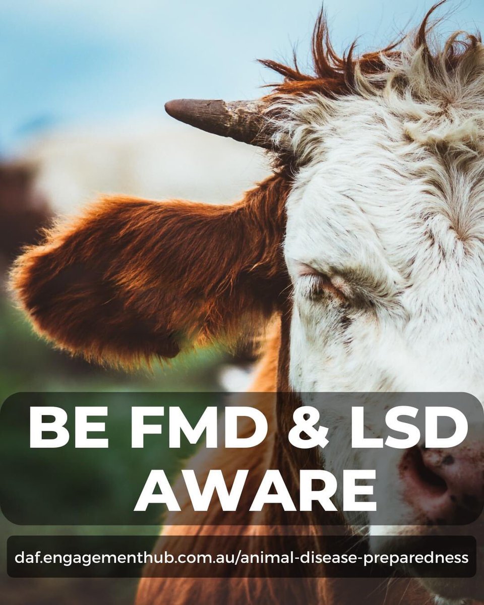 Mark Furner MP (@markfurnermp) on Twitter photo Join the fight to keep Queensland and Australia free of Foot and Mouth Disease and Lumpy Skin disease. Protect your property: LOOK for signs of animal disease. REPORT suspect cases to Emergency Animal Disease Watch Hotline on 1800 675 888 <a href="/AgForceQLD/">AgForce Queensland</a> <a href="/QldFarmers/">Queensland Farmers' Federation</a> @AnnastaciaMP Join the fight to keep Queensland and Australia free of Foot and Mouth Disease and Lumpy Skin disease. Protect your property: LOOK for signs of animal disease. REPORT suspect cases to Emergency Animal Disease Watch Hotline on 1800 675 888 <a href="/AgForceQLD/">AgForce Queensland</a> <a href="/QldFarmers/">Queensland Farmers' Federation</a> @AnnastaciaMP