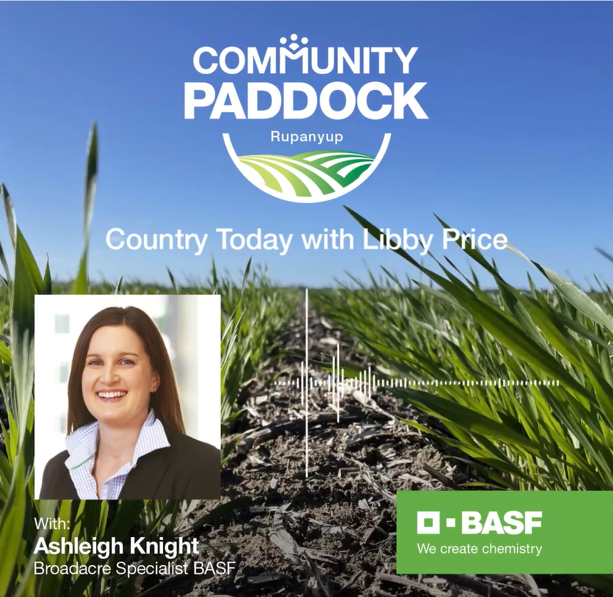 BASF_Agro_Au's tweet photo. Last week @ash_knight89  spoke to Libby Price from Country Today about our inaugural Community Paddock at Rupanyup VIC! We’ve teamed up with local growers, Weidemann Pastoral Co. to provide community support for the local FNC. Listen to the interview here: https://t.co/Yf5zI1Qydl https://t.co/MwBoVkuUZn