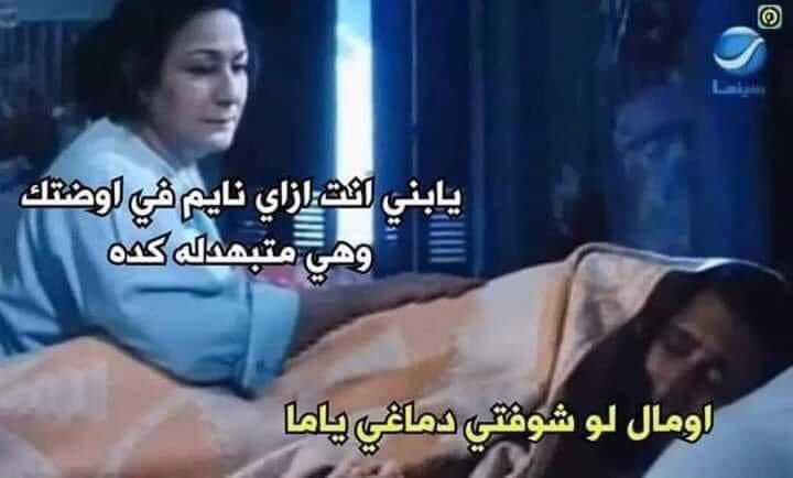 i meme it (@egymeme11) on Twitter photo 