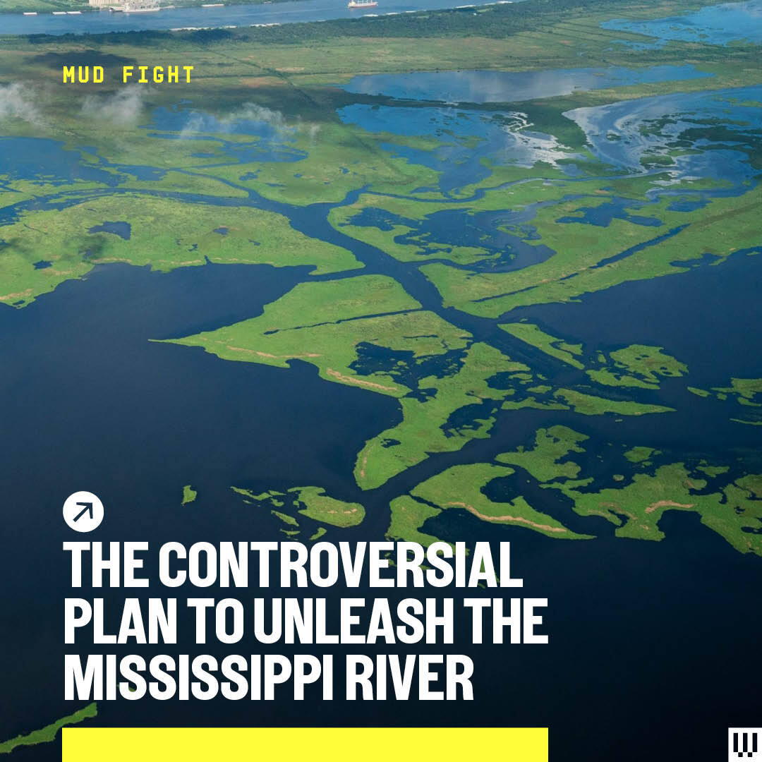 The consequences of restricting the Mississippi river are grim: The existing mudscape is sinking. The ocean is rising. Over the past nine decades, more than 5,000 square kilometers of delta land has disappeared.

Can people engineer a way out? wired.trib.al/OTUKpcp

📸: Getty