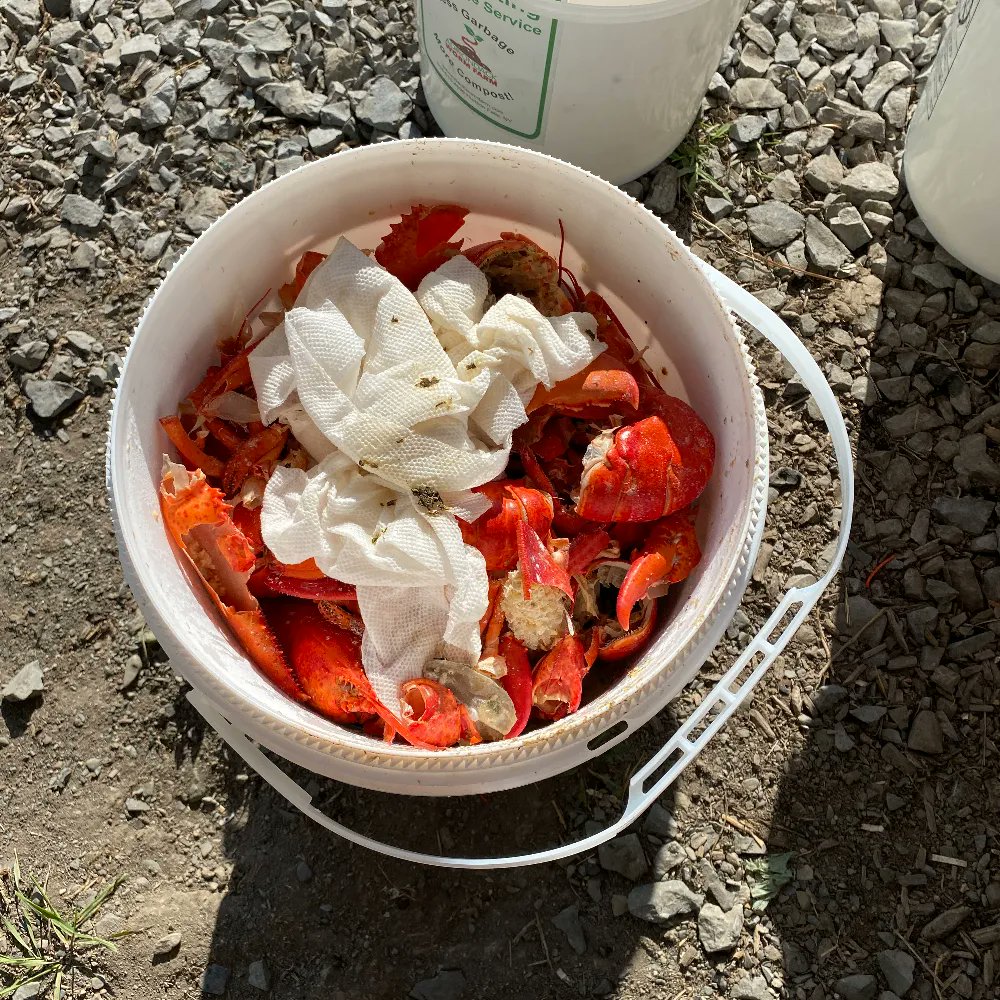 adkwormfarm's tweet photo. Did you know we take #lobster shells, and corn cobs, banana peels, bones, weeds, houseplants, paper towels (no chemicals), pizza boxes, #cardboard rolls from toilet paper and paper towels, and on and on! #curbsidecompost #seafood #glensfalls #queensbury #lakegeorge #fortedward https://t.co/RHhRKFqyWv