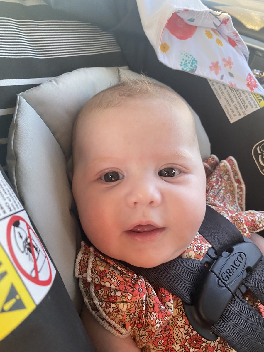 harperwyo's tweet photo. So obsessed with this sweet babe 💕 https://t.co/J4LkQe2jw6