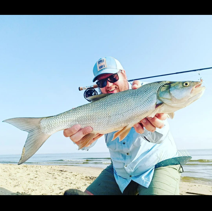 Saltwateronfly's tweet photo. Great Catch
@hitowerfishing
Morning session on the beach! Thanks a lot to Aga & Arek from @tuhola_net for good coffe and showing headquarters 😁#aspius #aspiusflyfishing #aspiusaspius #aspiusfishing #aspiusglobal #asp #flyfishingforasp #balticsea https://t.co/QmKXDlWD7F