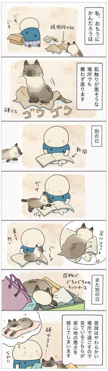 なぜ座る?あえて選んだ場所は硬くてゴワゴワな材質でした【連載】ねこ連れ草 236話め|ねこのきもちWEB MAGAZINE https://t.co/gDTr36L3hE