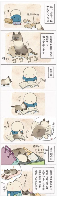なぜ座る?あえて選んだ場所は硬くてゴワゴワな材質でした【連載】ねこ連れ草 236話め|ねこのきもちWEB MAGAZINE https://t.co/gDTr36L3hE 