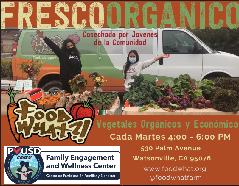 No se olvide-- PRODUCTOS ORGÁNICOS FRESCOS $1 el paquete mañana---MARTES de 4pm a 6pm frente al <a href="/Pvusdwellness/">PVUSD Family Engagement & Wellness Center</a> CENTER @ 530 Palm Avenue! ¡Cultivado por estudiantes, cosechado por estudiantes y vendido por estudiantes! ¡Apoye a los estudiantes de PVUSD y #Foodwhat! <a href="/PVUSD/">Pajaro Valley Unified School District</a> <a href="/mlrod32/">Dr. Michelle Rodriguez</a>