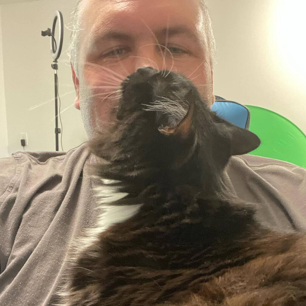 lyteforce's tweet photo. While today might be my first of #funemployment, at least I’m still considered an adequate cat pedestal/servant. #kittyforce https://t.co/xjHOk9XDpL