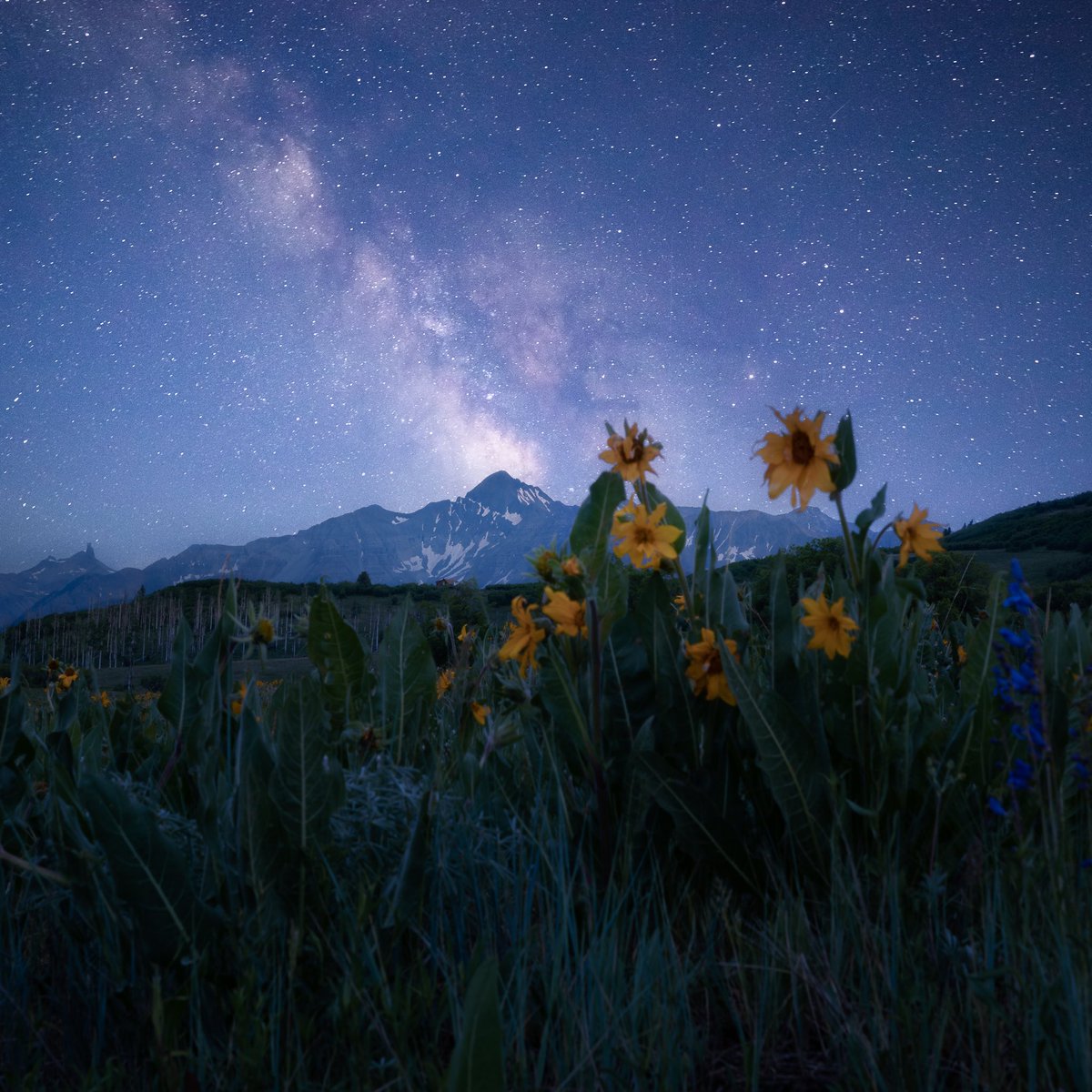 Summer in Colorado featuring wildflowers, the Milky Way, and a 14,000 foot mountain