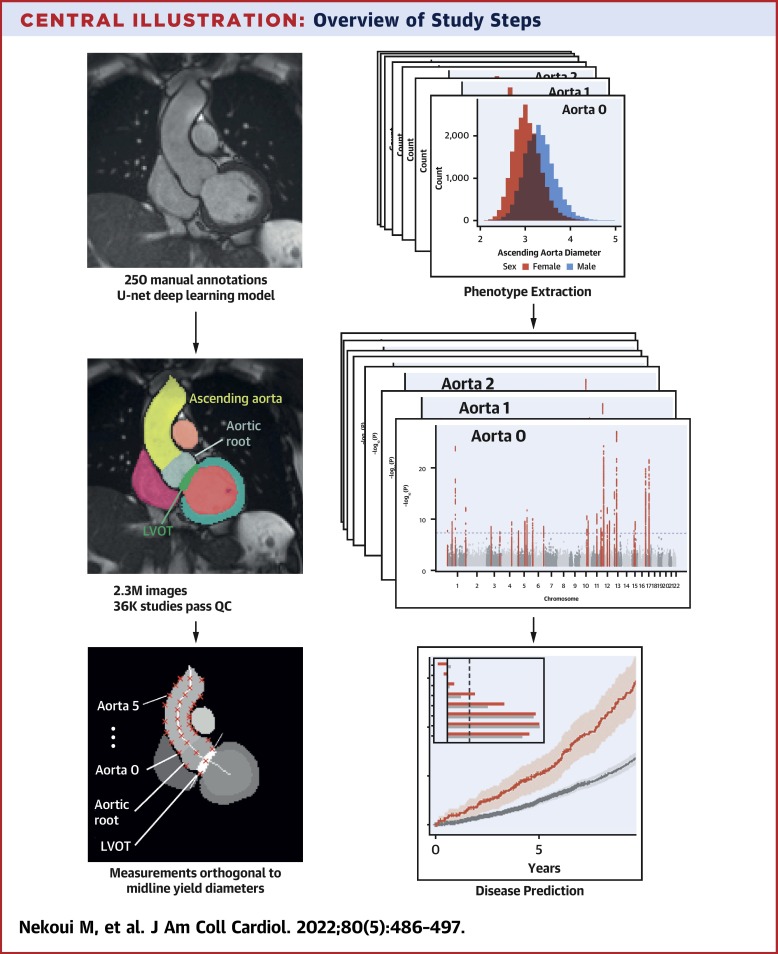 Mahan Nekoui tweet media