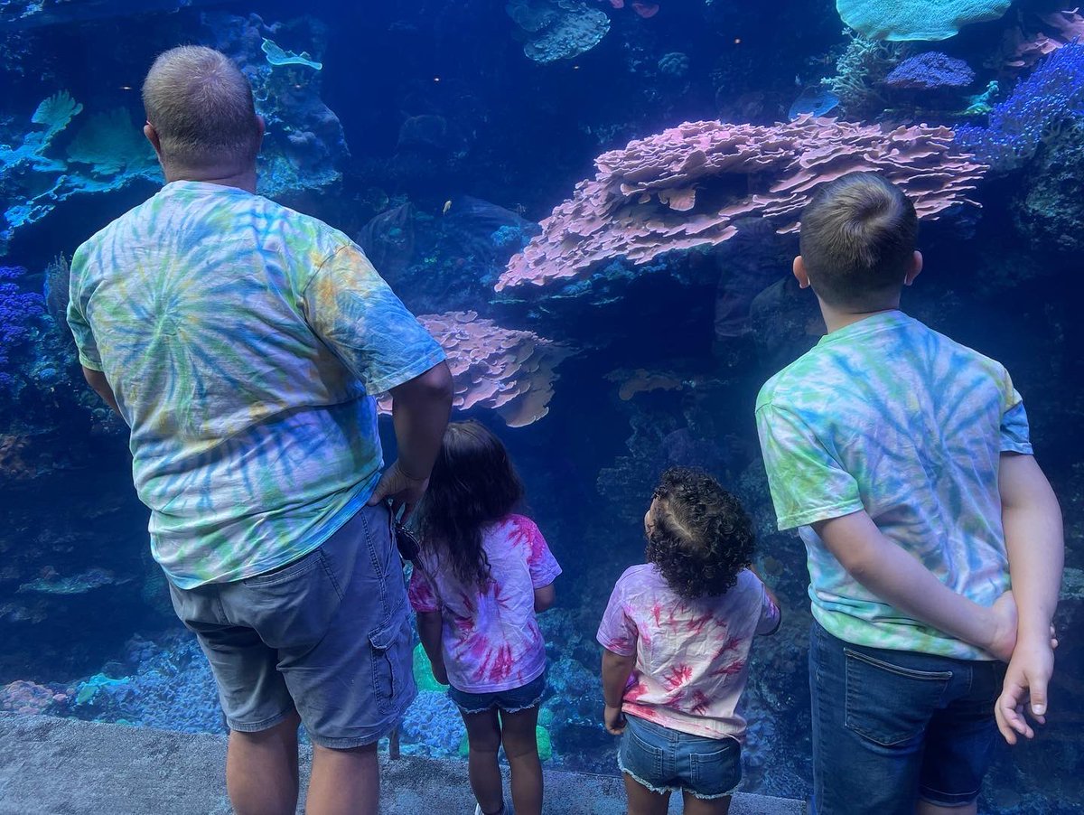 Quick little visit to the Georgia Aquarium. ❤️