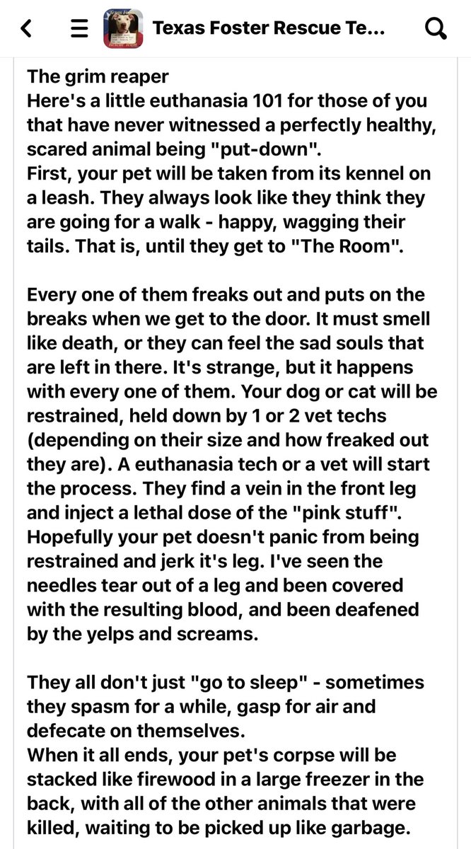 This is POWERFUL - from a person who sees the in’s and out’s of a Texas shelter. They chose to remain anonymous but here are their words. Nueces County (Corpus Christi) Texas where I lived and witnessed the horrors firsthand. #adopt #foster #rescue #responsibleowners
